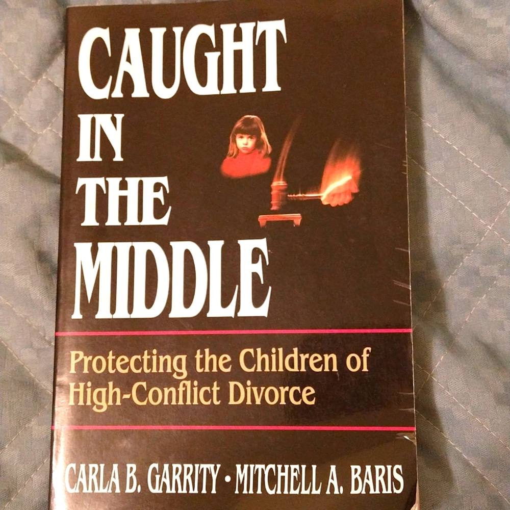 Cought in the Middle Protecting the Children of High Conflict Divorce